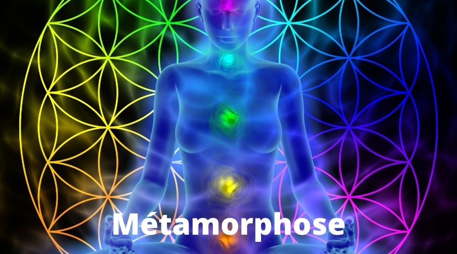 Métamorphose stage APESRA Approche Psychorporelle Energétique et Spirituelle de la Relation d'Aide